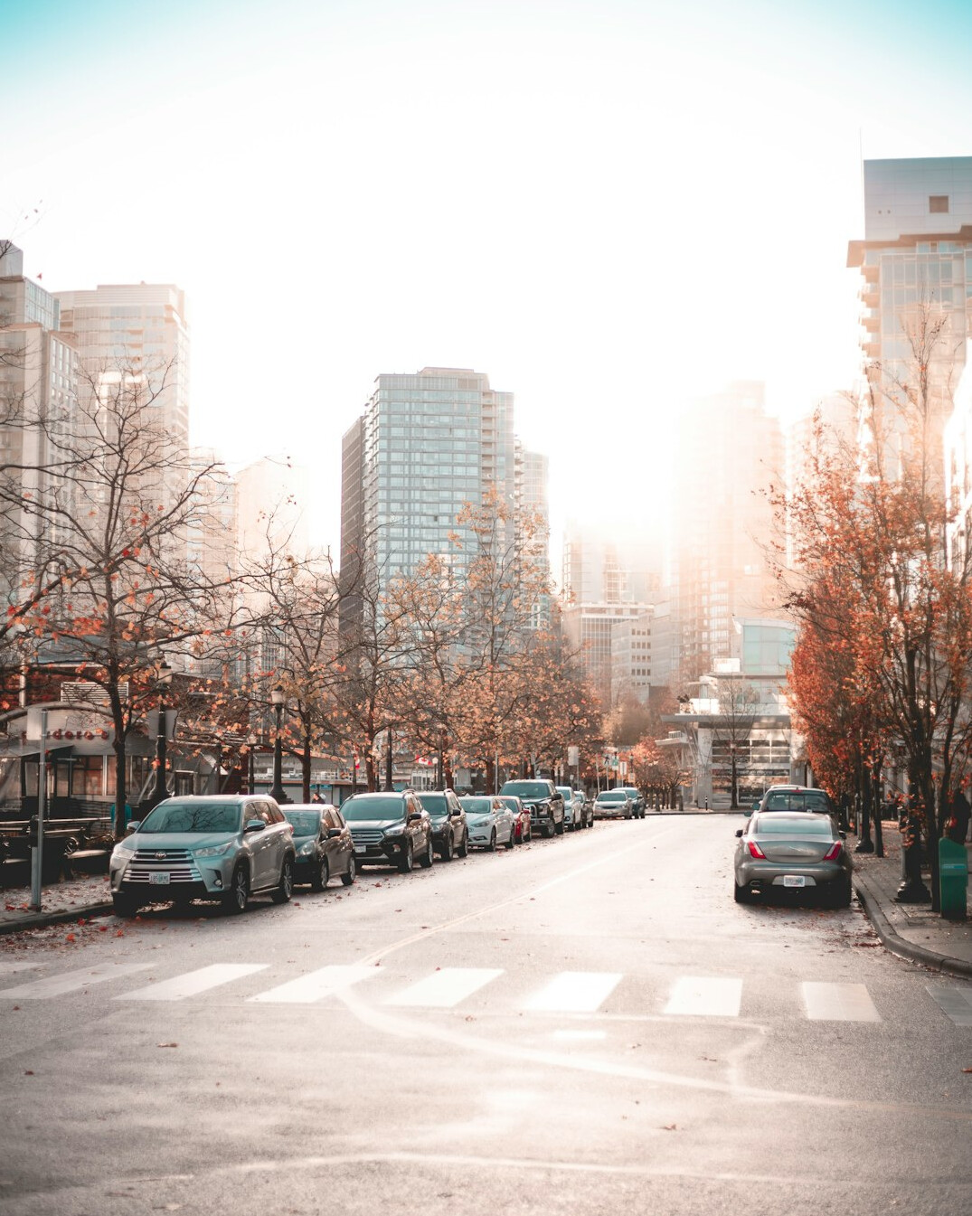 street scene in city