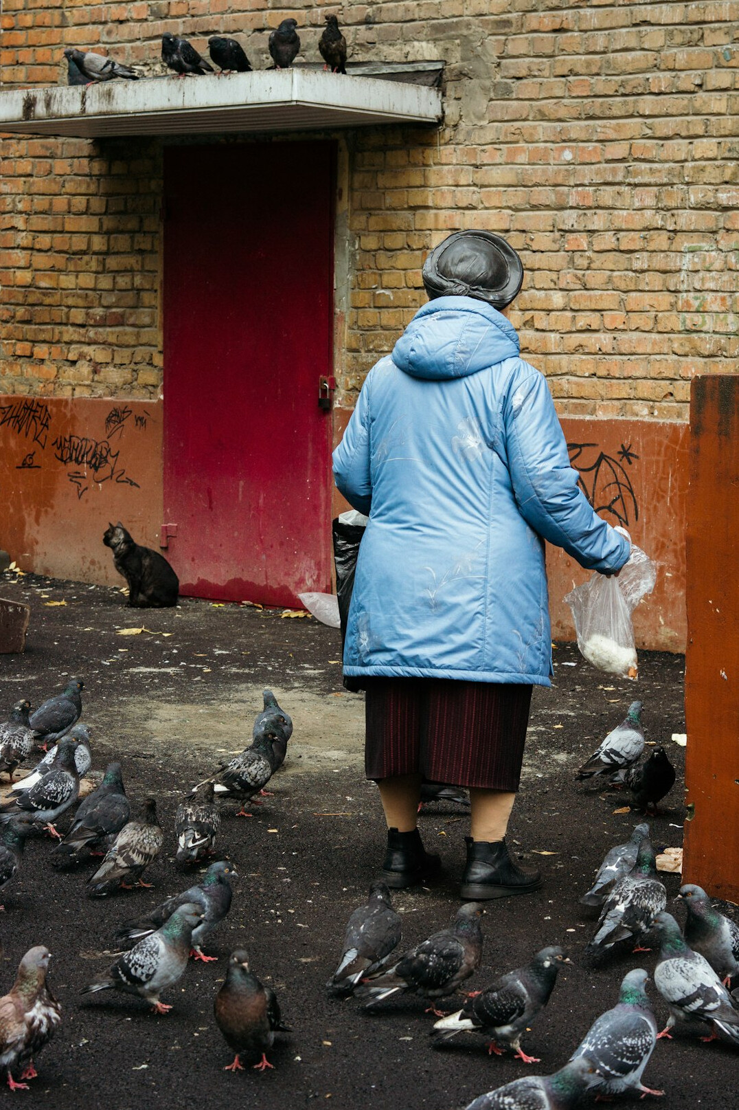 elderly person feeding birds